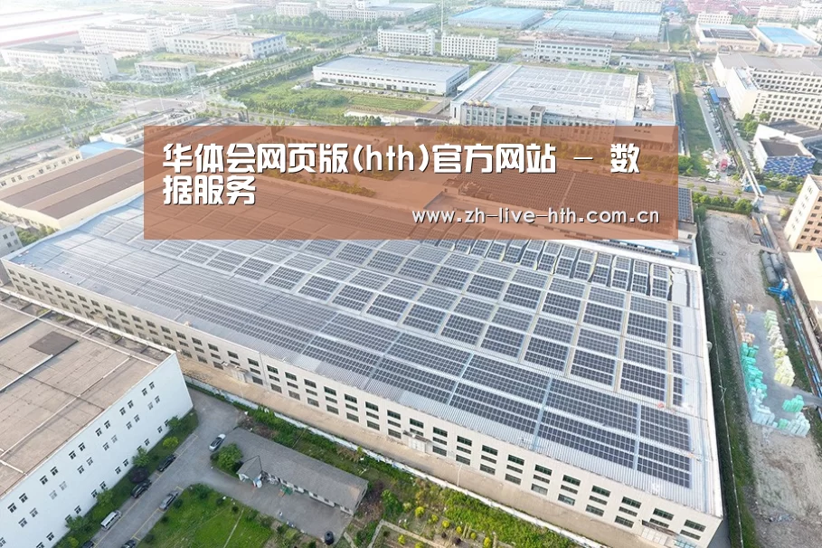 案例展示二