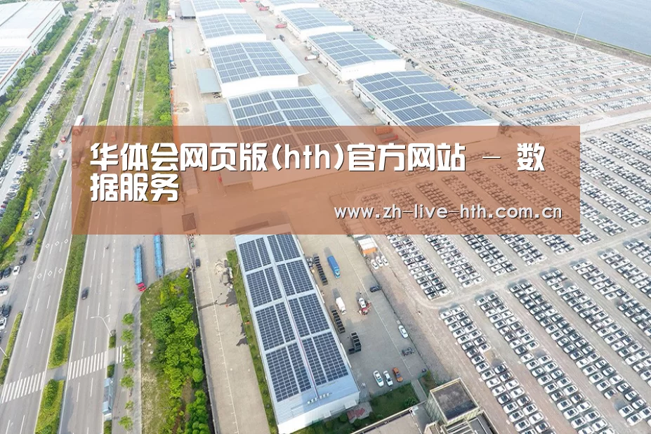 案例展示一
