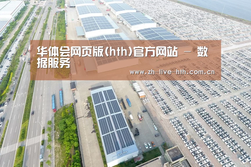 案例展示三